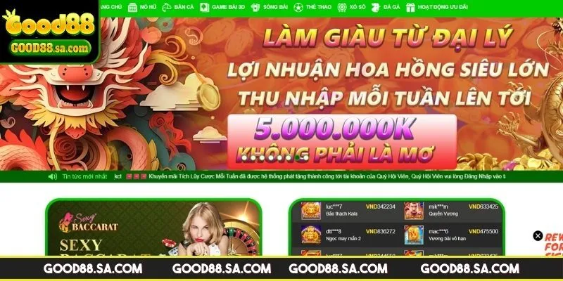 Đại lý tại trang web nói không với rủi ro